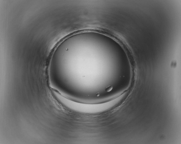 X0000111911260200907271213