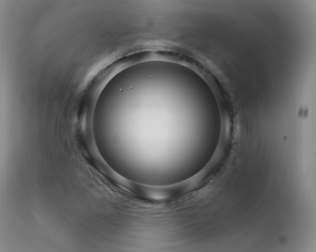 X0000111911261200907271213