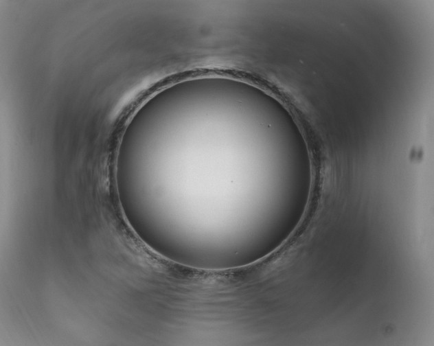X0000111911262200907271213