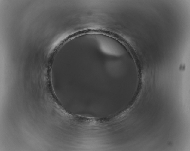 X0000111911263200907271213