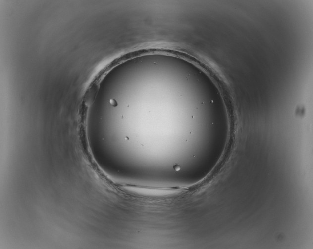 X0000111911264200907271213