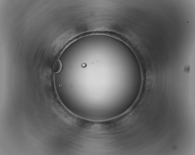 X0000111911265200907271213
