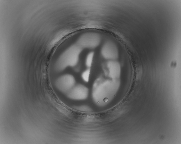 X0000111911266200907271213