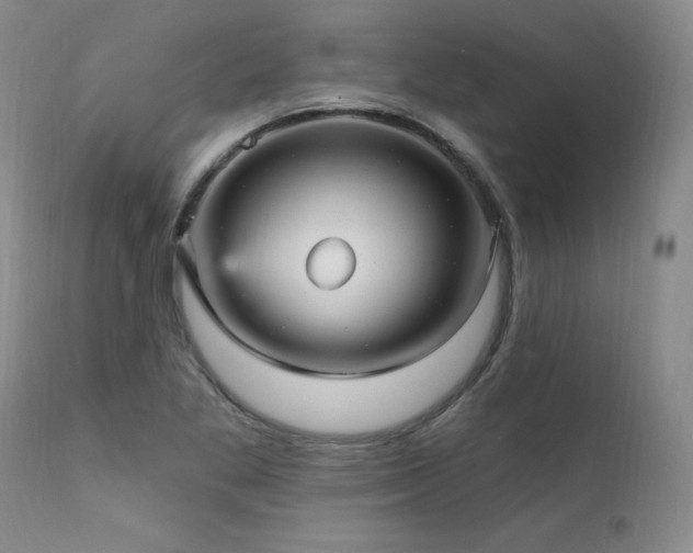 X0000111911269200907271213