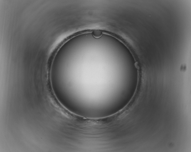 X0000111911270200907271213