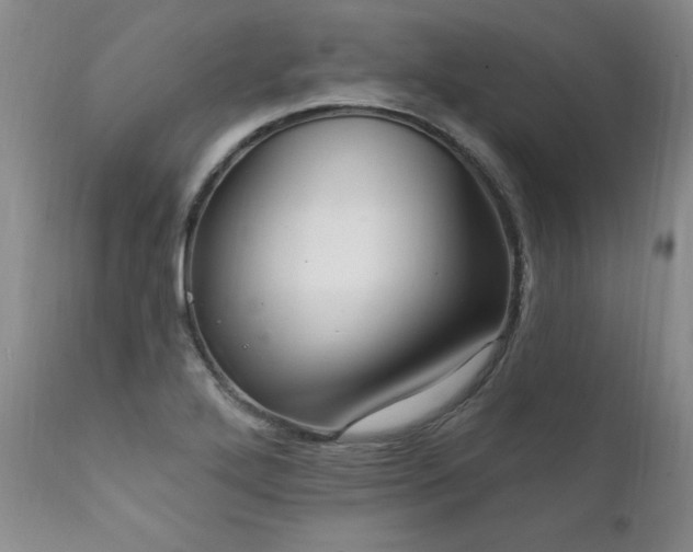 X0000111911272200907271213