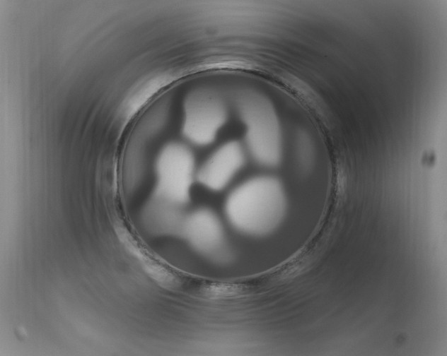 X0000111911274200907271213