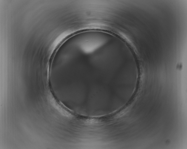 X0000111911275200907271213
