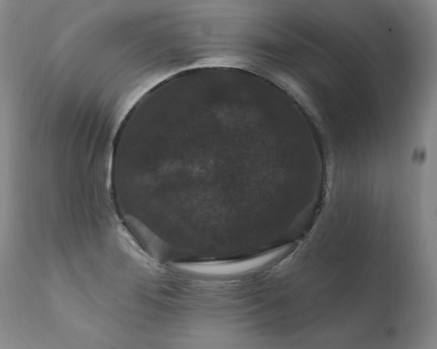 X0000111911276200907271213
