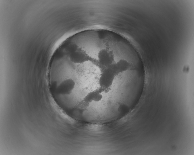 X0000111911278200907271213