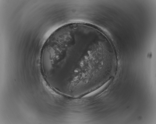 X0000111911279200907271213