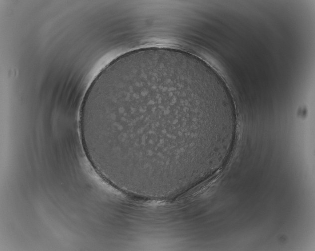 X0000111911283200907271213