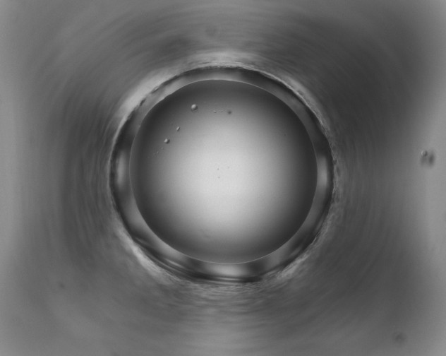 X0000111911285200907271213