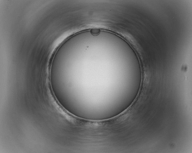 X0000111911286200907271213