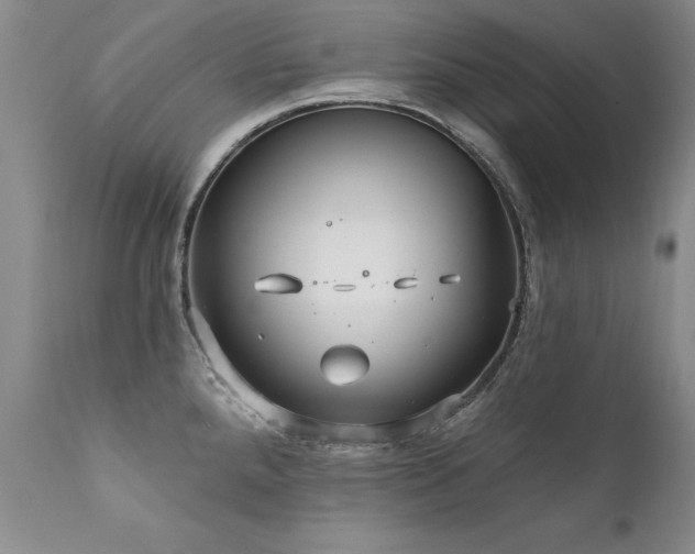 X0000111911288200907271213