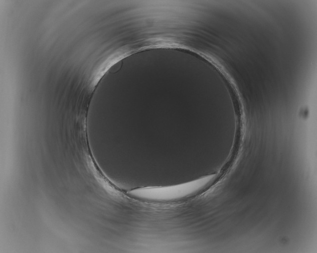 X0000111911289200907271213