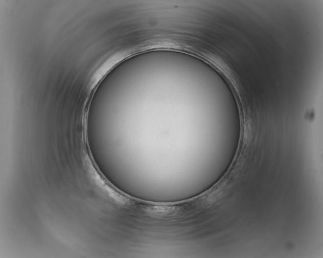 X0000111911290200907271213