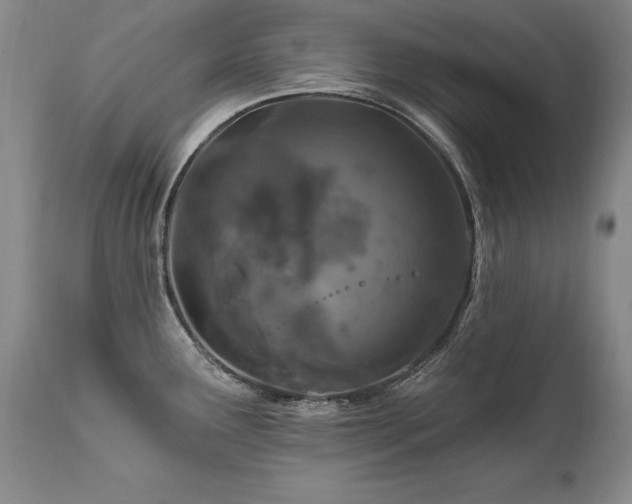 X0000111911291200907271213