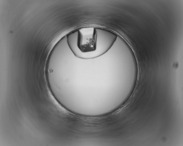 X0000111911293200907271213