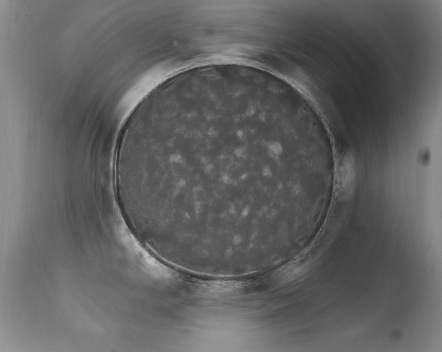 X0000111911294200907271213