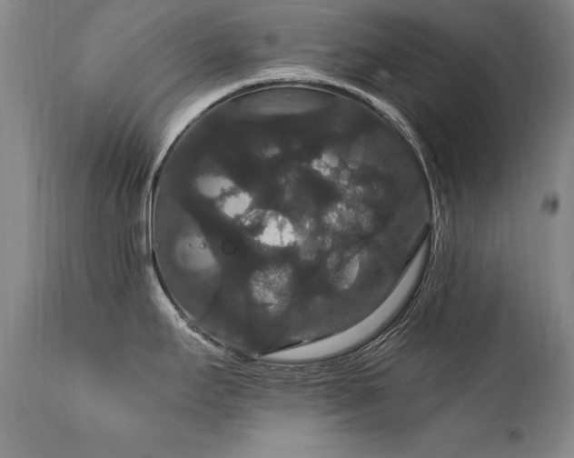 X0000111911295200907271212