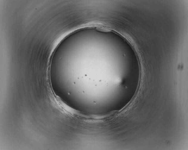 X0000111911296200907271212