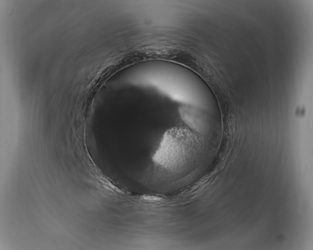 X0000111911297200907271212