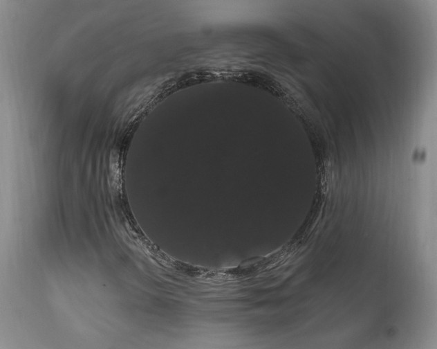 X0000111911298200907271212