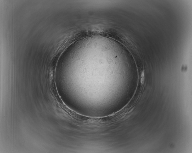 X0000111911299200907271212
