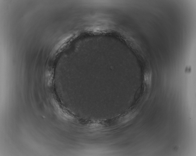 X0000111911300200907271212
