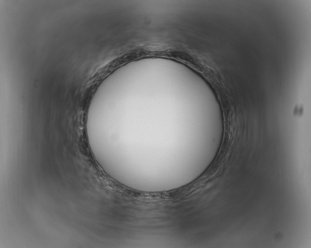 X0000111911301200907271212