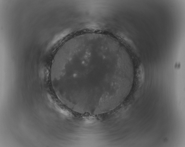 X0000111911302200907271212