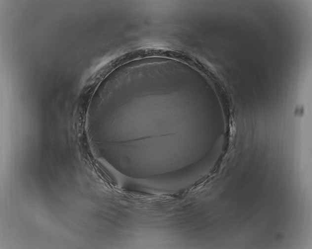 X0000111911303200907271212