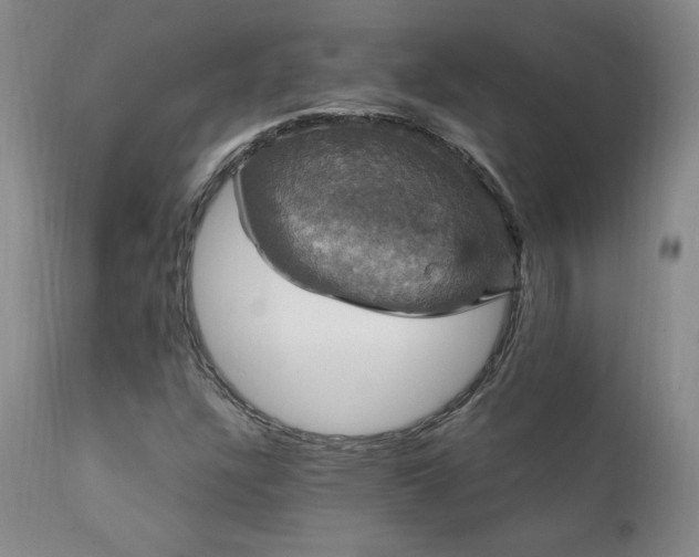X0000111911304200907271212