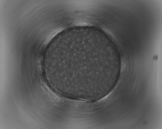 X0000111911305200907271212