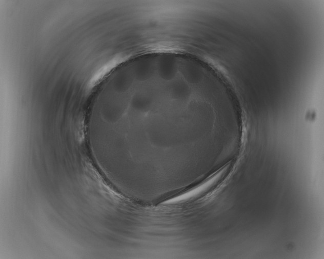 X0000111911306200907271212
