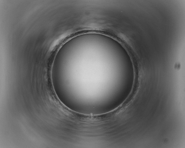 X0000111911307200907271212