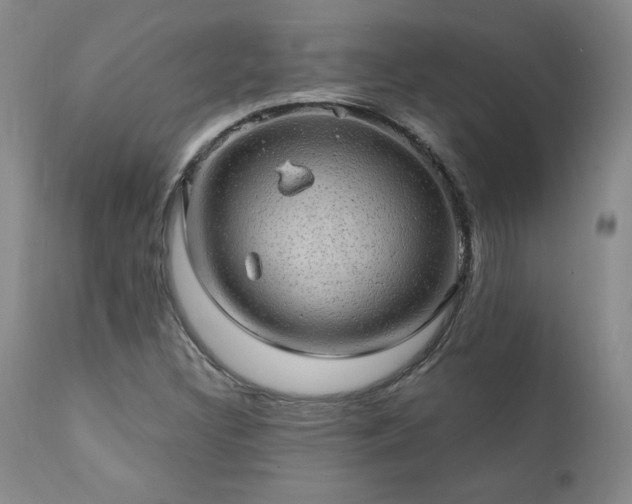 X0000111911308200907271212