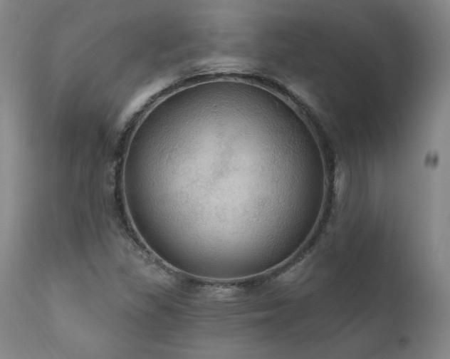 X0000111911309200907271212