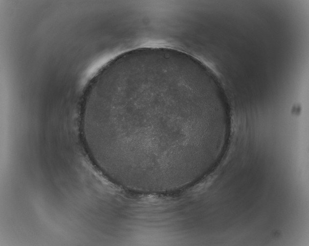 X0000111911311200907271212