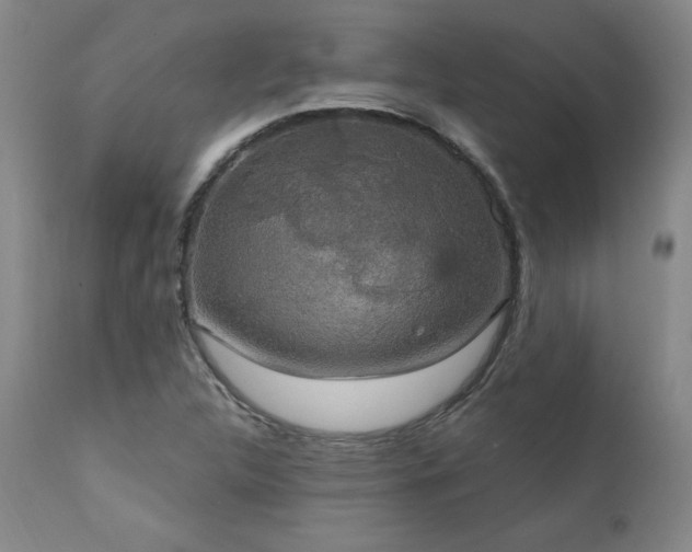 X0000111911312200907271212