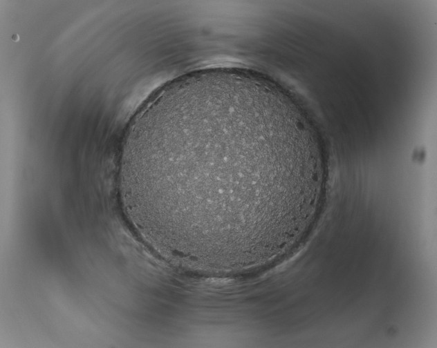 X0000111911313200907271212