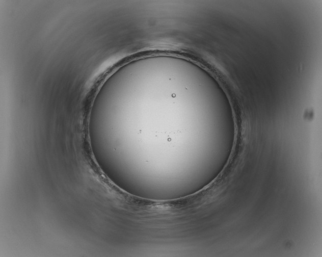X0000111911315200907271212