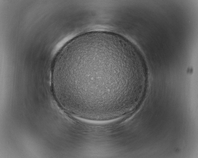 X0000111911317200907271212
