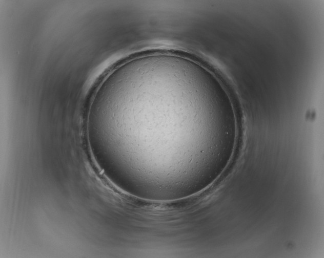 X0000111911318200907271212
