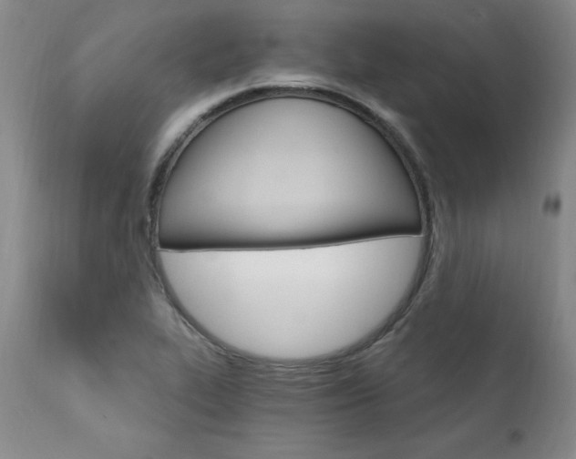 X0000111911319200907271212