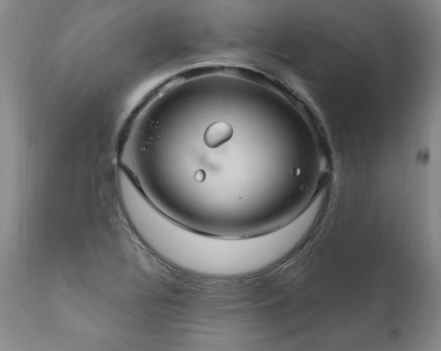 X0000111911320200907271212