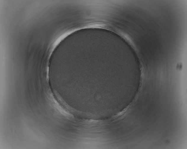 X0000111911324200907271212