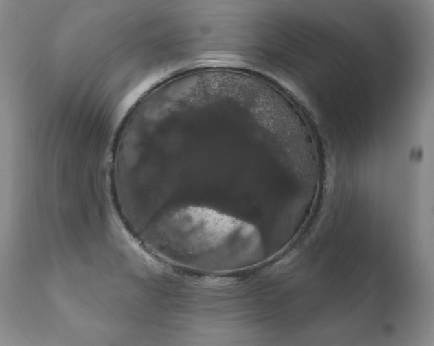 X0000111911325200907271212