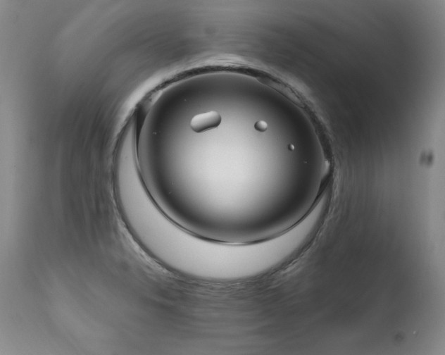 X0000111911326200907271212